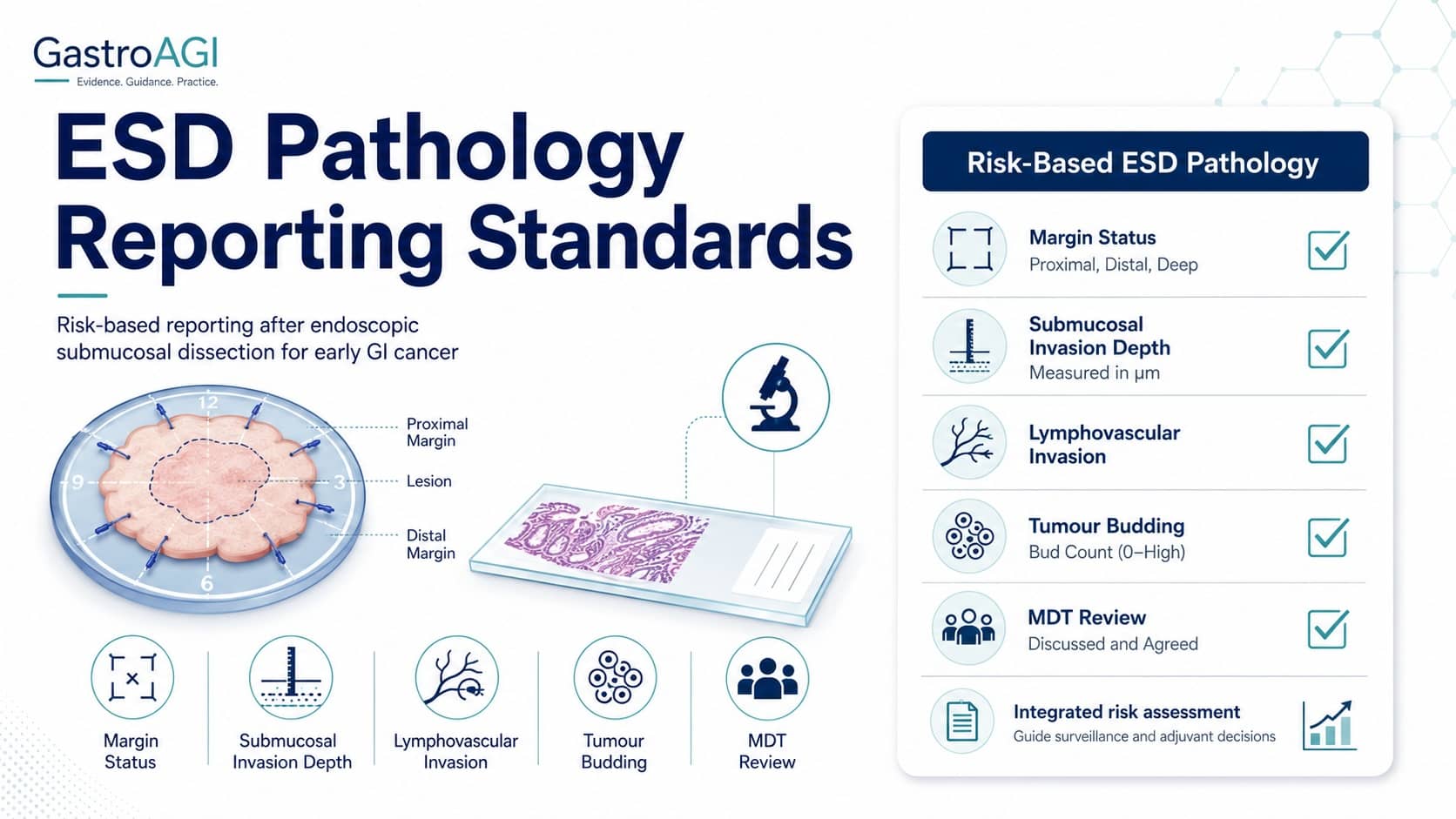 Risk-Based Pathology Reporting After ESD for Early GI Cancer: New International Consensus Standards