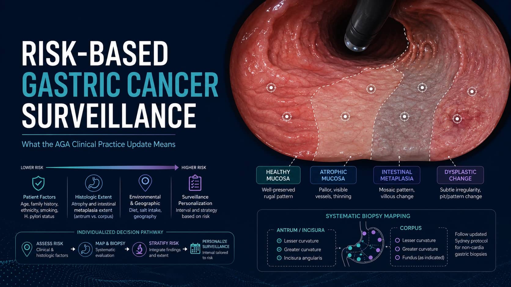 Risk-Based Gastric Cancer Surveillance: What the AGA Clinical Practice Update Means in Everyday Gastroenterology