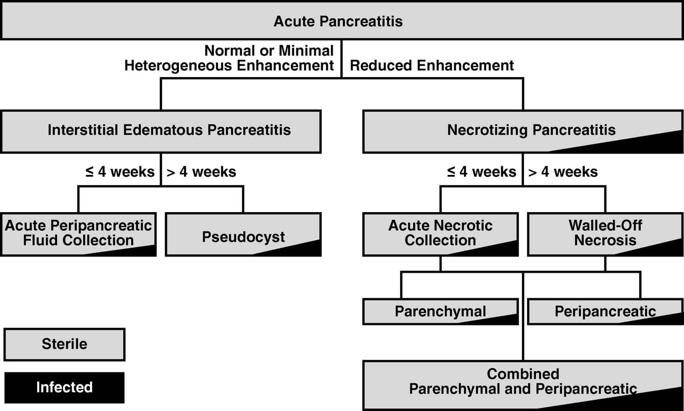 (2026 Updated) Acute Pancreatitis in 2026: Predicting Severity, Timing Intervention, and Avoiding Common Pitfalls