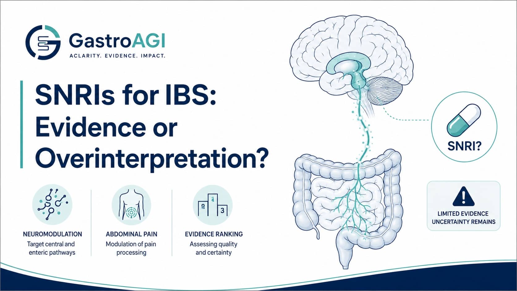 Should SNRIs Be Considered the Most Effective Neuromodulators for IBS? A Cautious Reading of the Evidence
