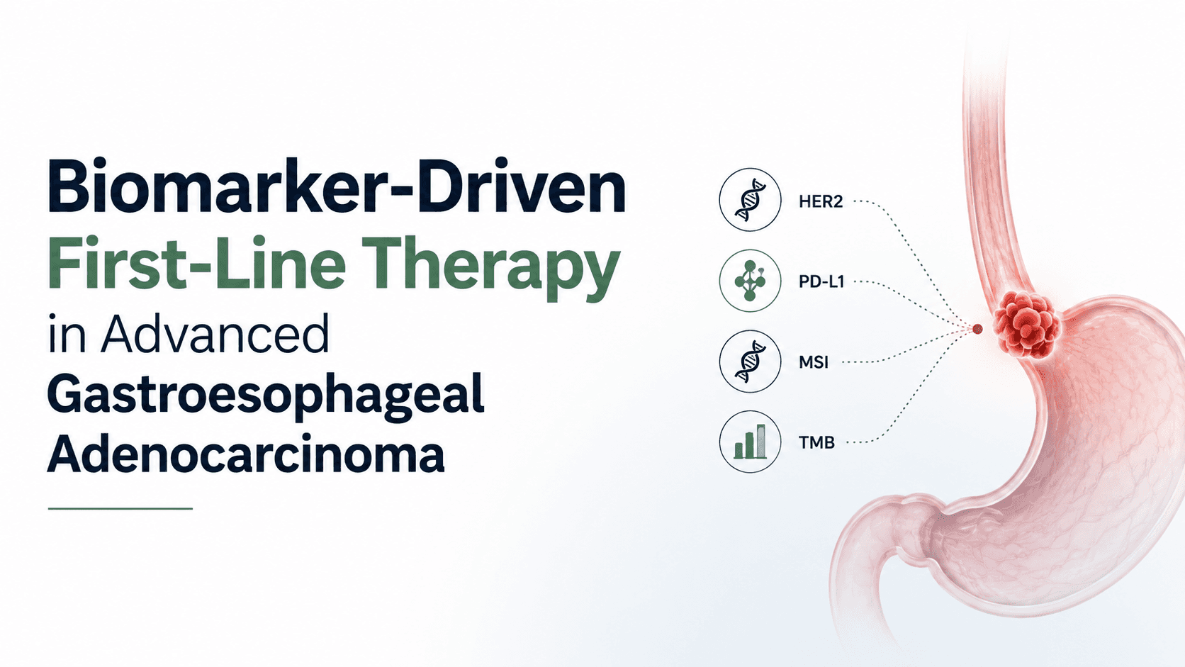 Biomarker-Driven First-Line Therapy in Advanced Gastroesophageal Adenocarcinoma