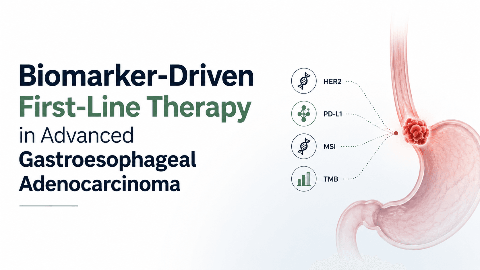 Biomarker-Driven First-Line Therapy in Advanced Gastroesophageal Adenocarcinoma