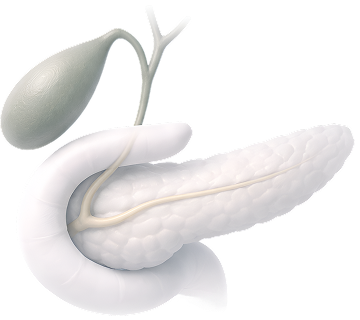 Gallbladder and Pancreas